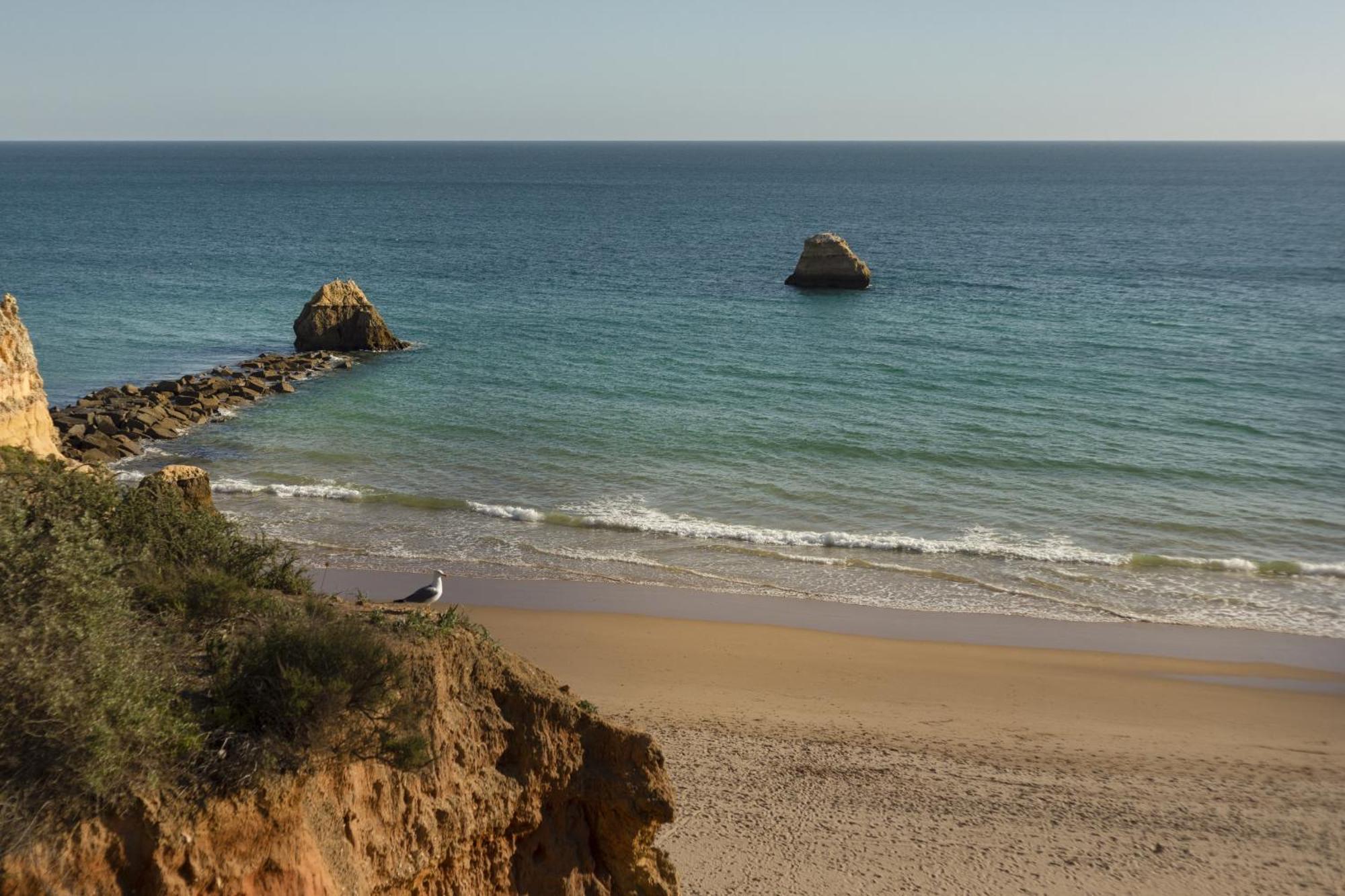 Apartament New - Portimao Casinha Zewnętrze zdjęcie